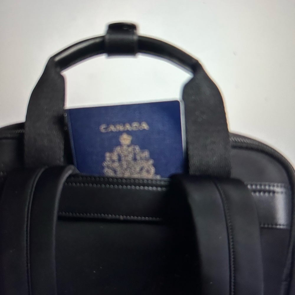 Backpack - Picture 4 of 7